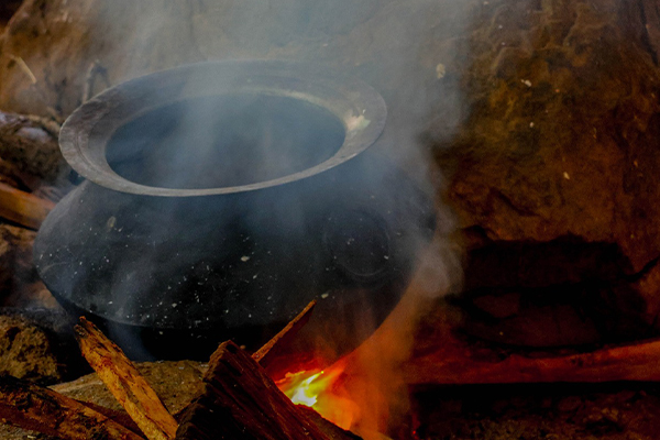 Training Workshop on ‘Indigenous Medicine Production’