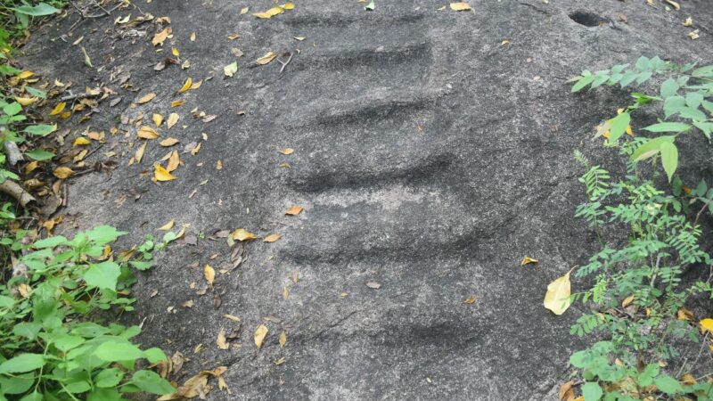 Archaeological Exploration Project in Vavuniya District (1)