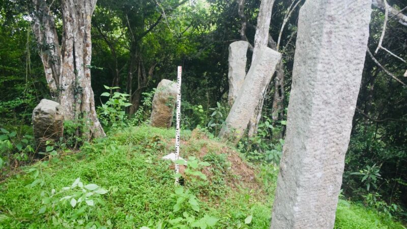 Archaeological Exploration Project in Vavuniya District (3)