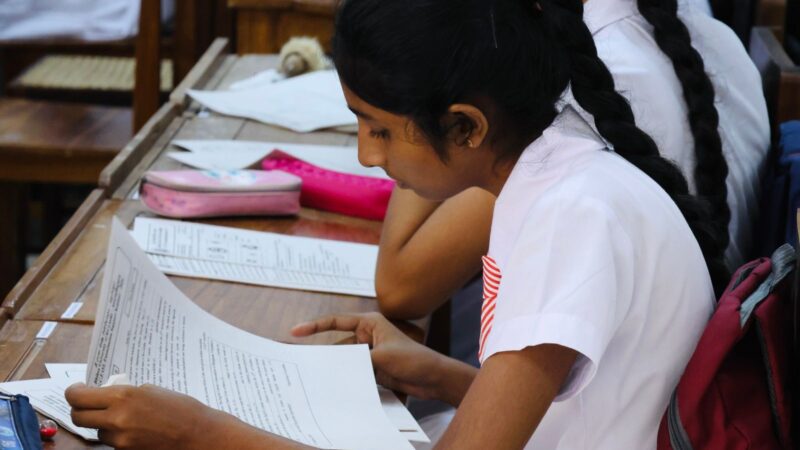 English Seminar for OL students – 2024 (3)