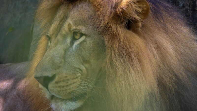 Outbound Training for Non-Academic Staff at BUSL (6)