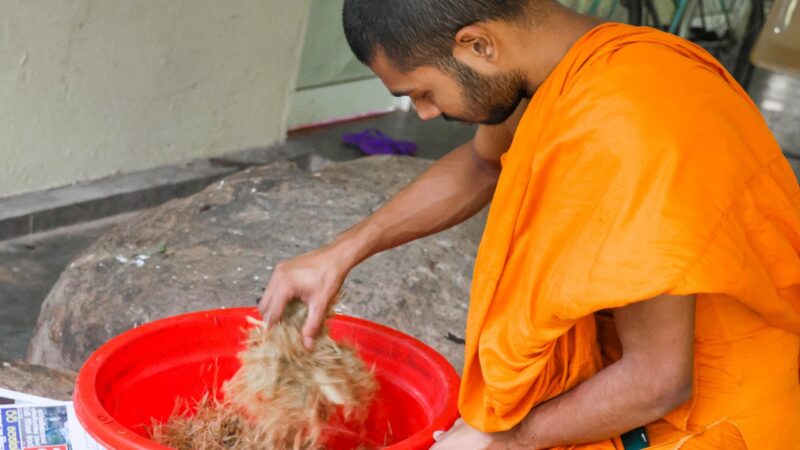 Training Workshop on Indigenous Medicine Production (2)