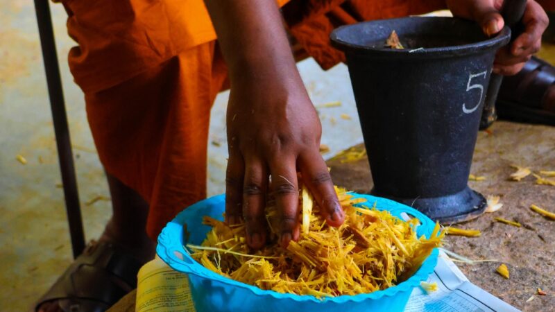 Training Workshop on Indigenous Medicine Production (6)