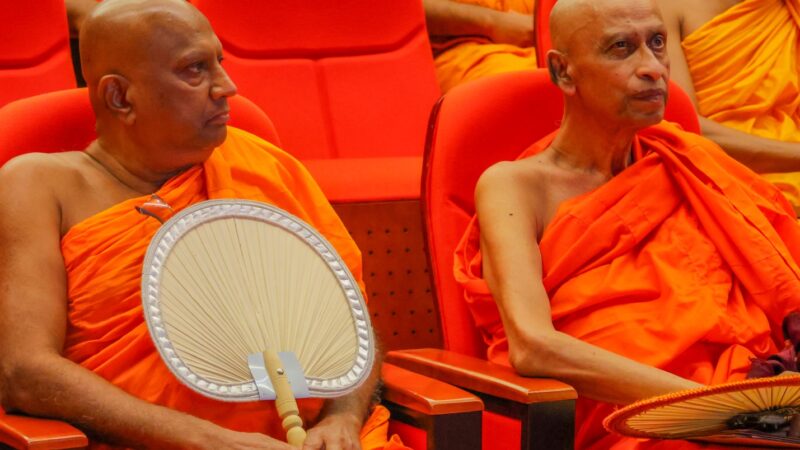 09th International Buddhist Conference 2026 (19)
