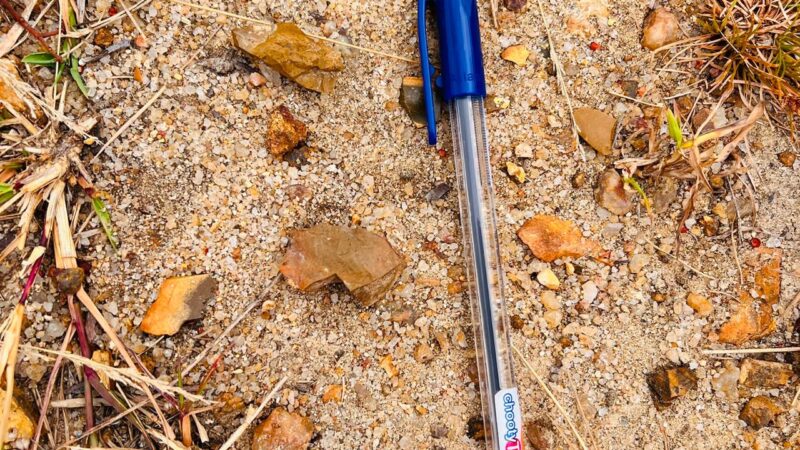 Stone tools Workshop held at Bhiksu University of Sri Lanka (4)